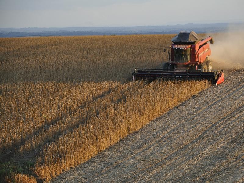 PIB da cadeia de soja e biodiesel deve crescer 11% em 2025